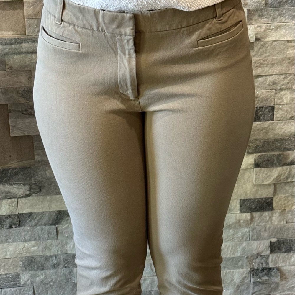 J Crew Chino Pants
